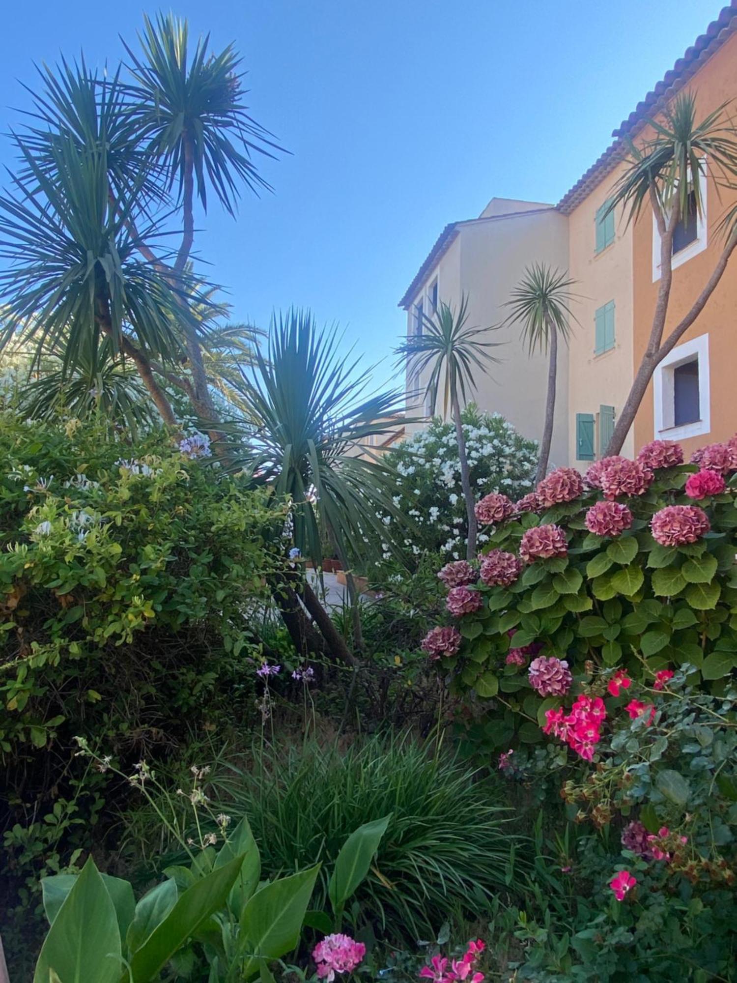 2 Bedrooms, 15 Min Walk To Beach, Ac, Pool & Fiber Internet In A Quiet, Private Gated Domain 5Kms To St Tropez Cogolin Exterior foto