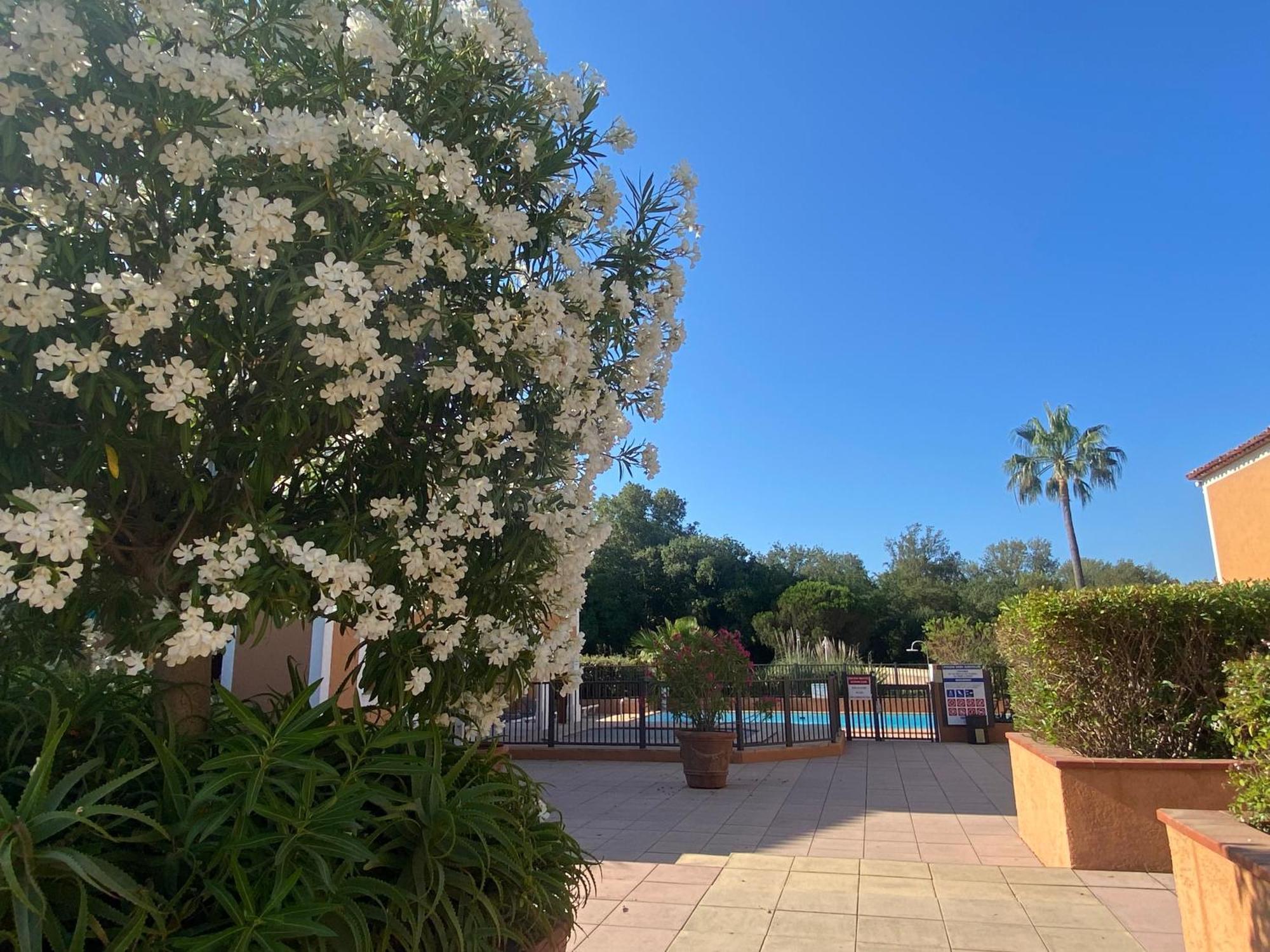2 Bedrooms, 15 Min Walk To Beach, Ac, Pool & Fiber Internet In A Quiet, Private Gated Domain 5Kms To St Tropez Cogolin Exterior foto